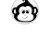 study monkey